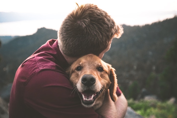 Hombre abraza perro en entorno de naturaleza
