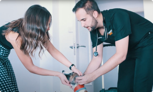 VETERINARIO A DOMICILIO EN MADRID