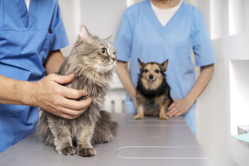 Imagen de veterinarios con mascotas