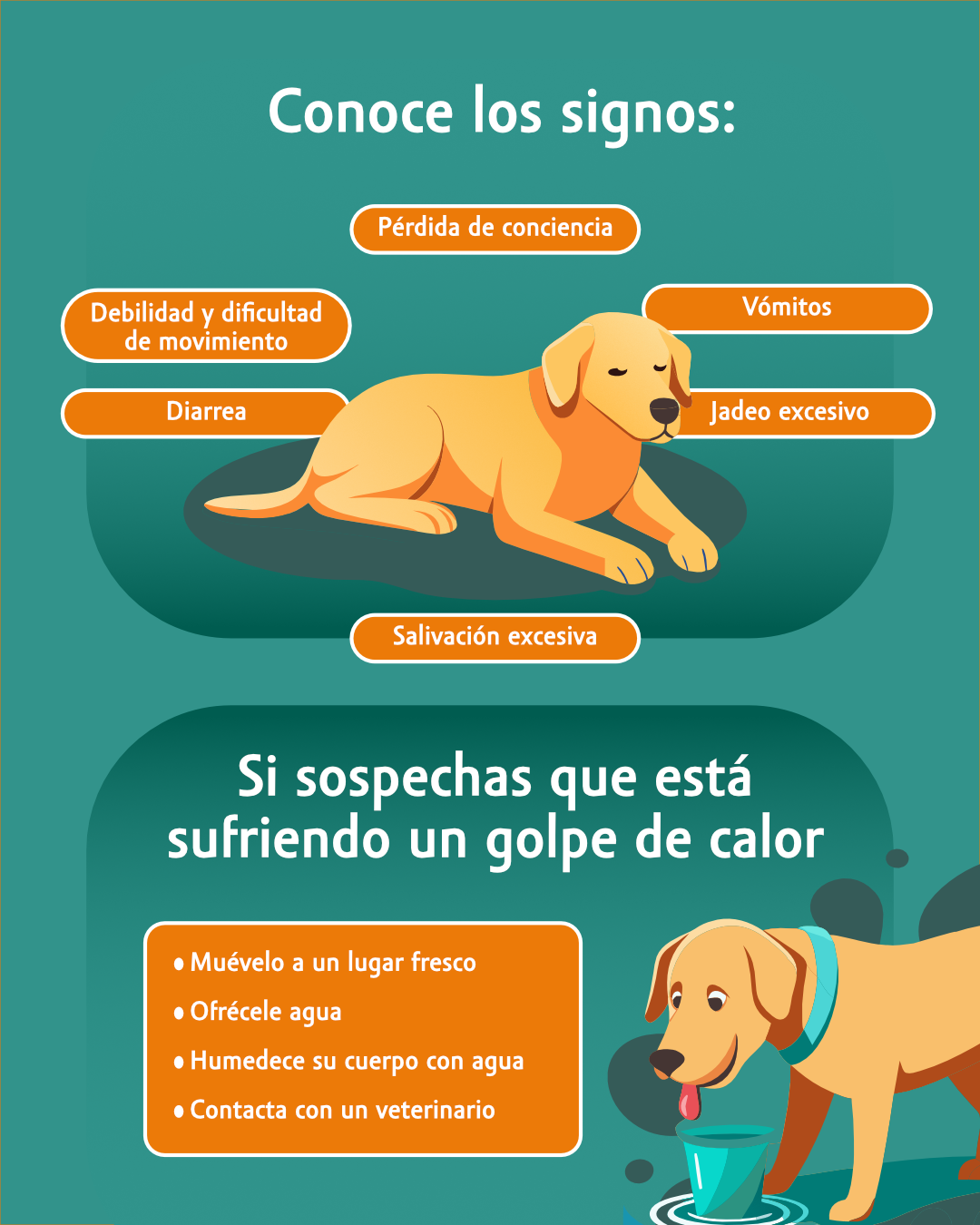 infografía contra los golpes de calor