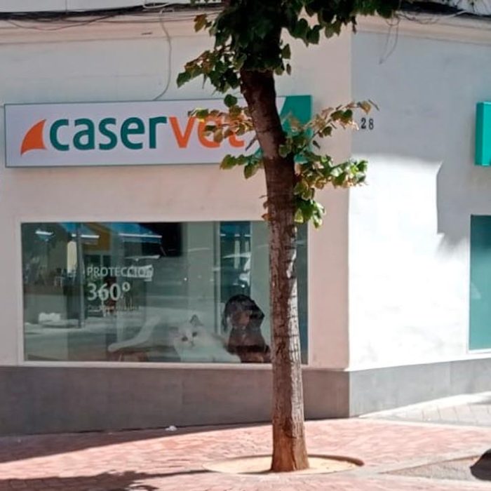 Clínica Veterinaria Caservet Pilar de Zaragoza