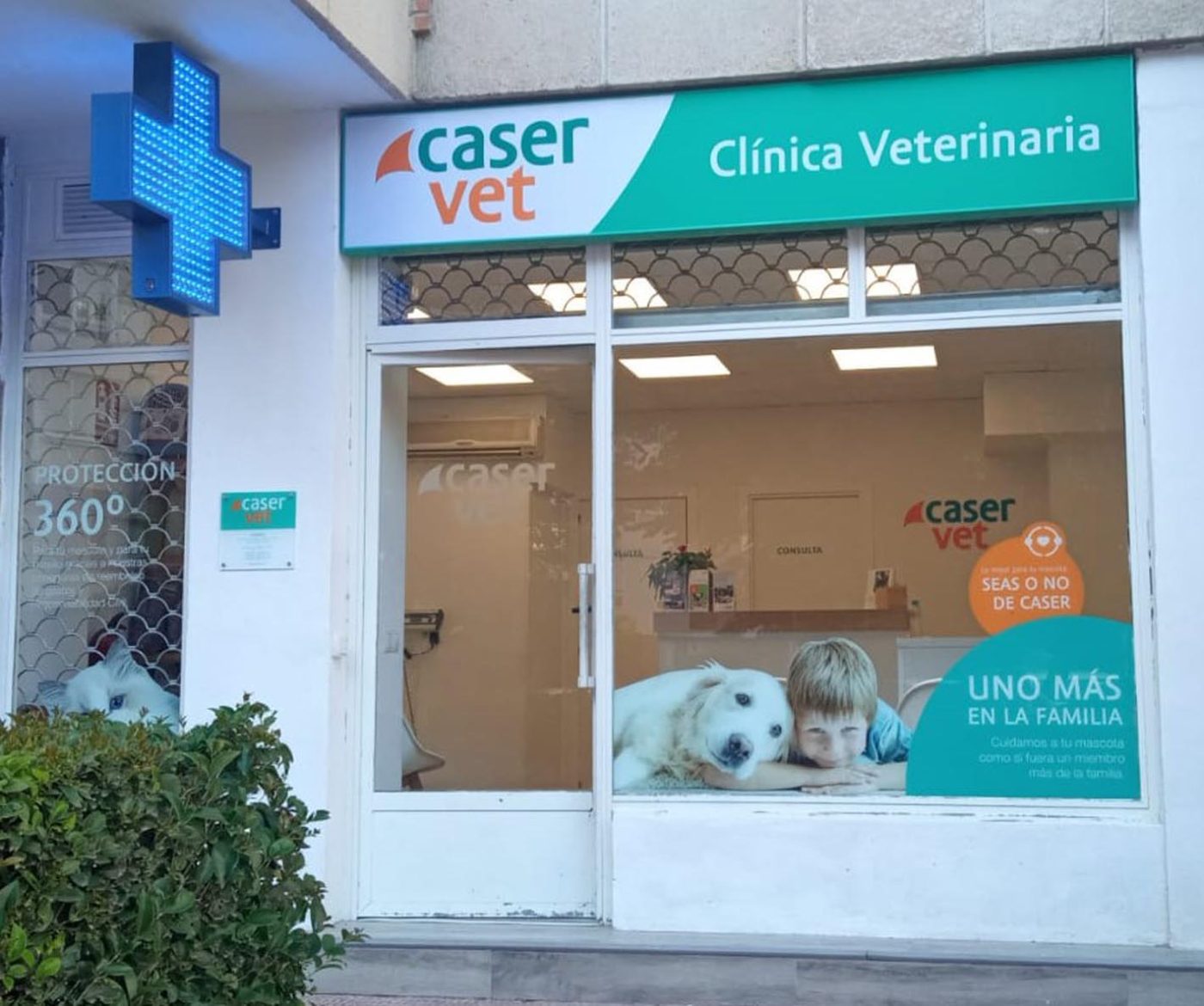 Clínica Veterinaria Caservet Sanchinarro Manoteras