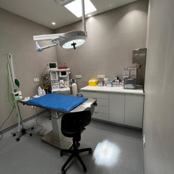 Clínica Veterinaria Caservet Sanchinarro