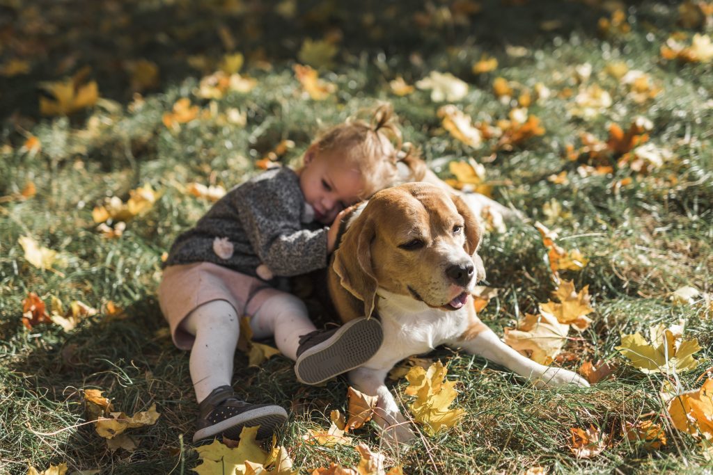 Perro tumbado junto a una niña