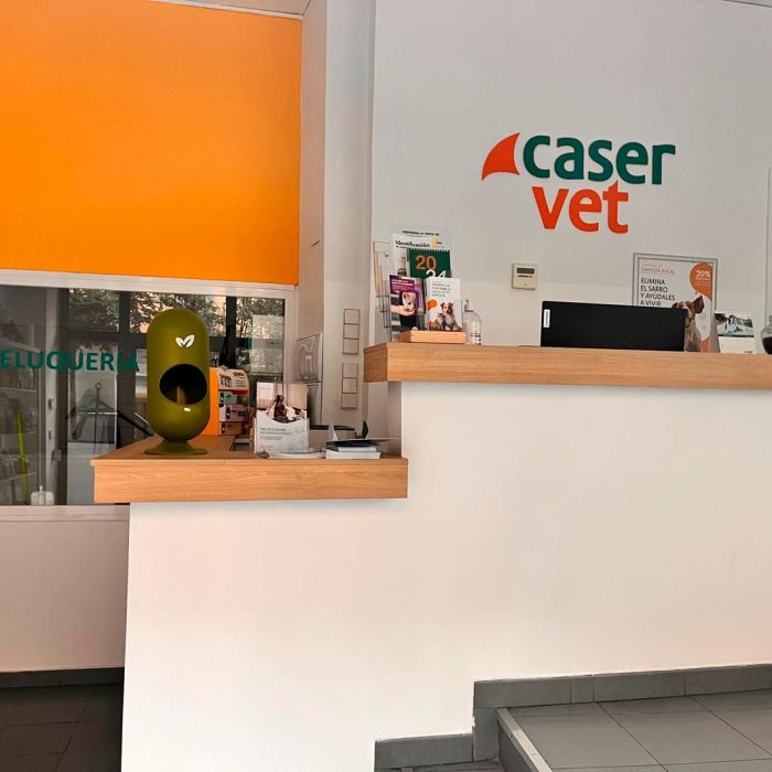 Clínica Veterinaria Caservet Pilar de Zaragoza