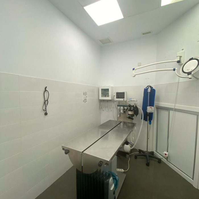 Clínica Veterinaria Caservet Pinar del Rey