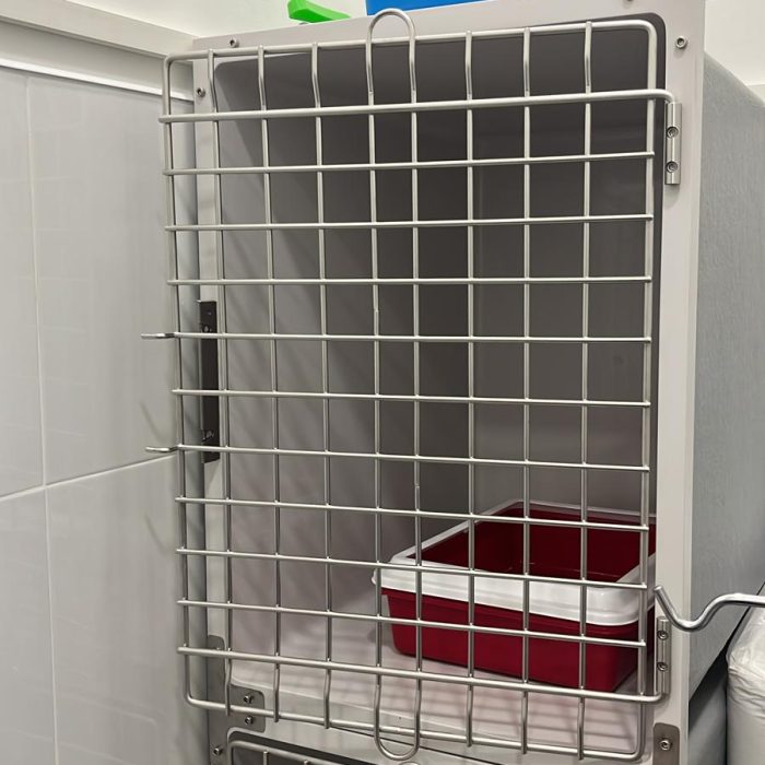 6.Hospitalizacion Olavide