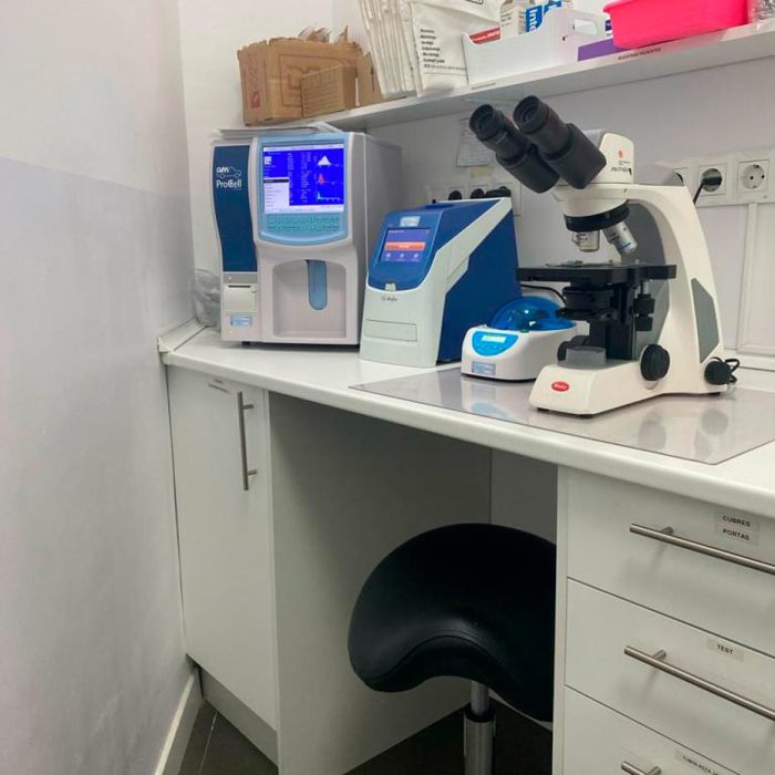 Clínica Veterinaria Caservet Pinar del Rey