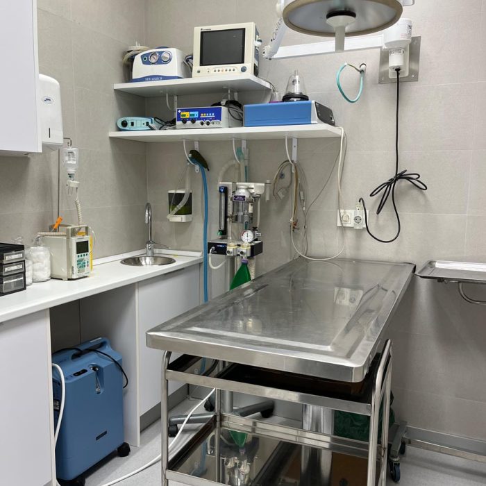 Clínica Veterinaria Rivas Santa Mónica