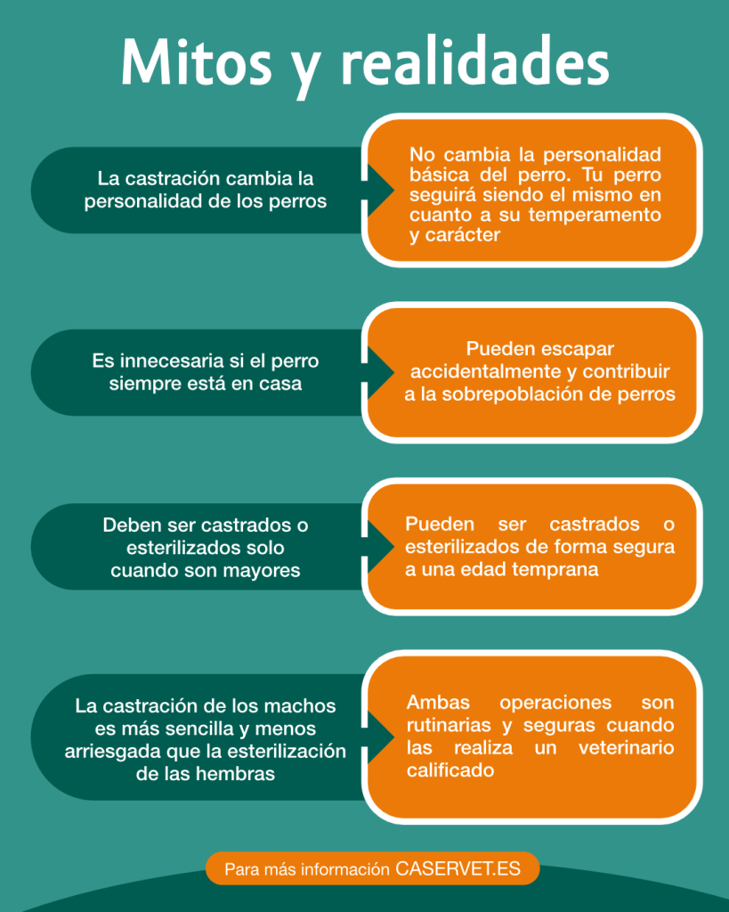Infografia de mitos y realidades sobre la castracion de perros