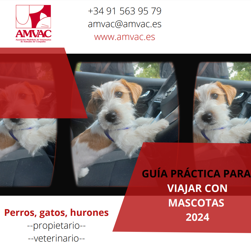 Guia para viajar con mascotas