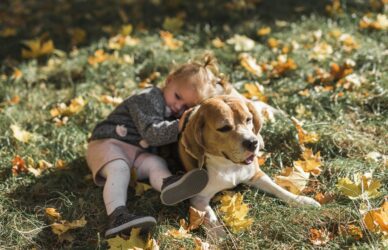 Perro tumbado junto a una niña