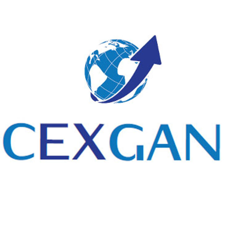 ICONO-CEXGAN