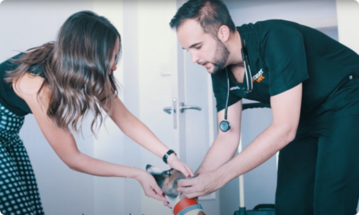 VETERINARIO A DOMICILIO EN MADRID