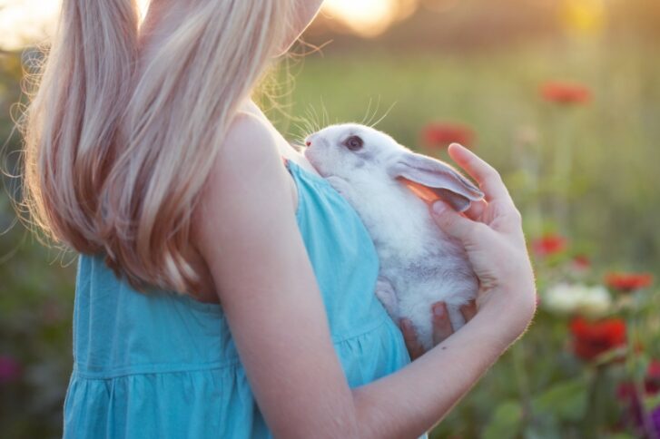 girl-and-rabbit-2021-12-13-14-39-06-utc