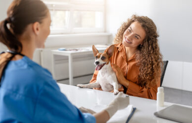 happy-dog-with-owner-vets-office