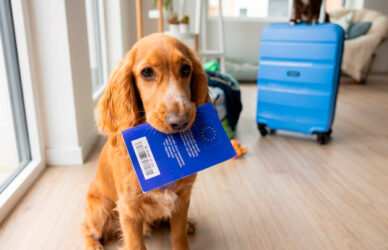 nano-banana-2026-04-23T14-01-45