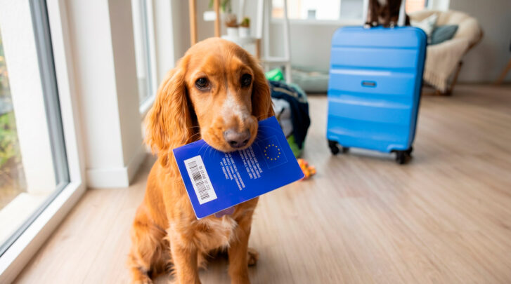 nano-banana-2026-04-23T14-01-45